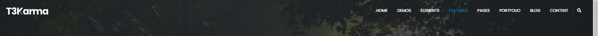 Full Width Transparent Dark