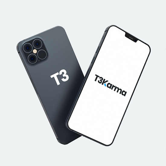 Project type